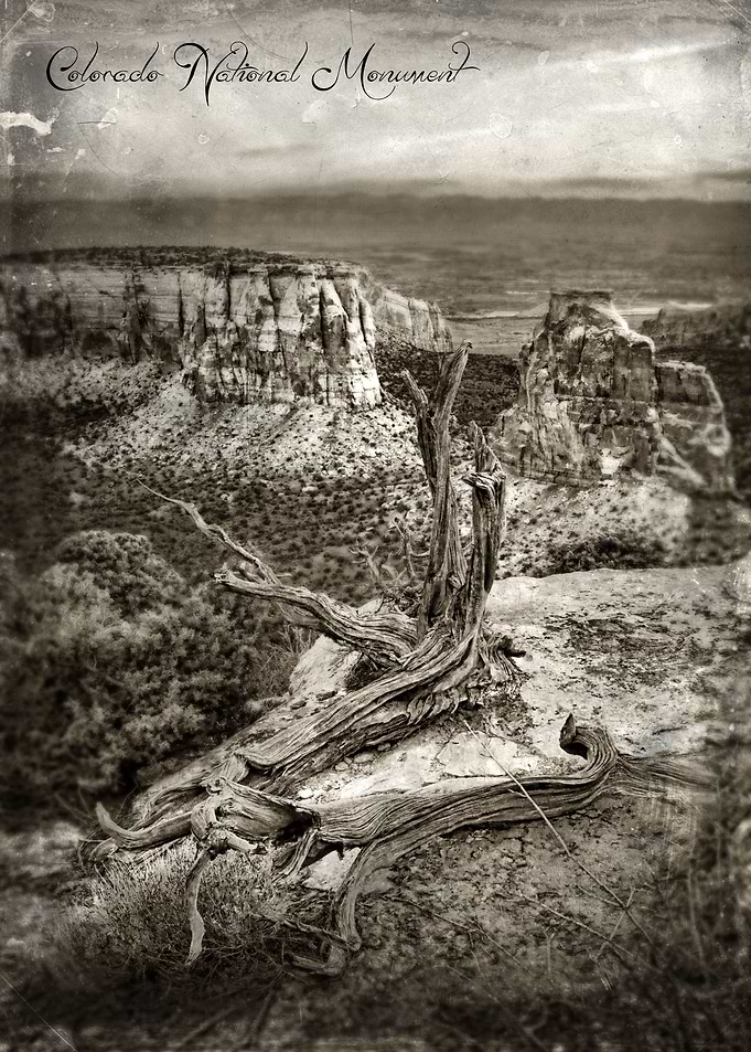 Dramatic view at Colorado National Monument.