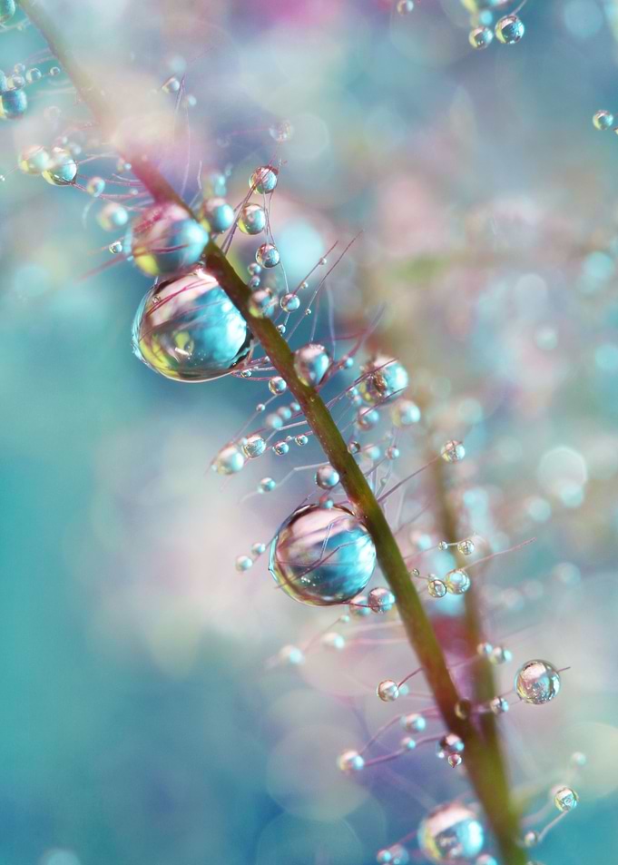Rainbow Blue Smokey Drops