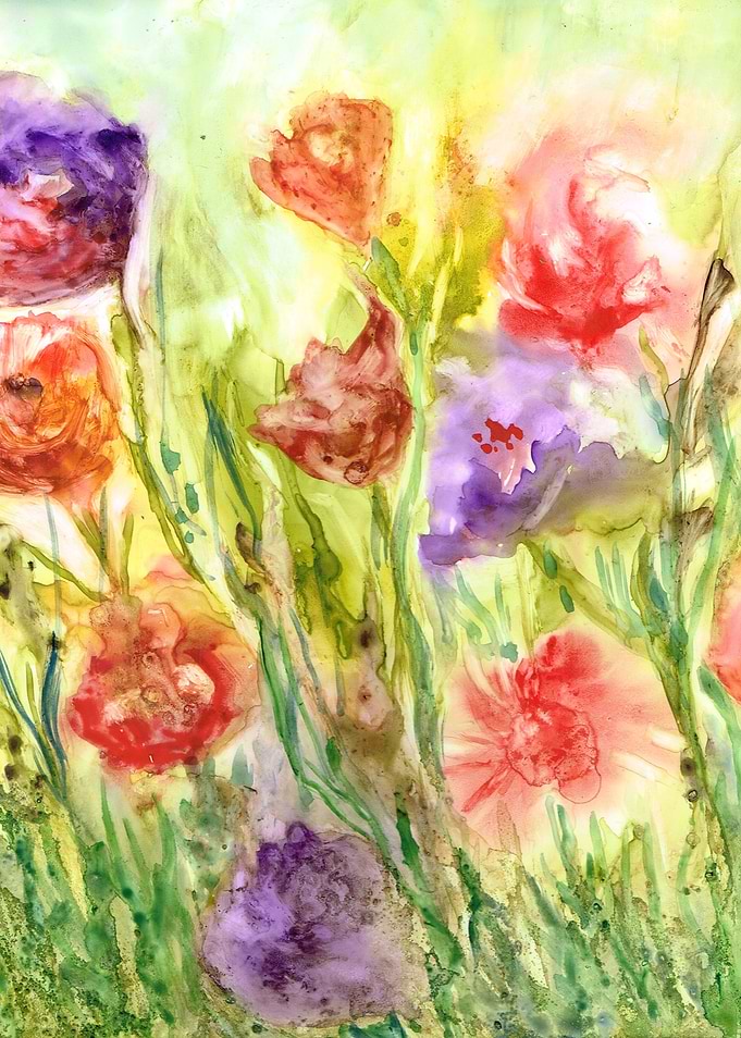 Summer Flowers