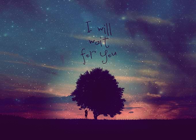 I WILL WAIT FOR YOU