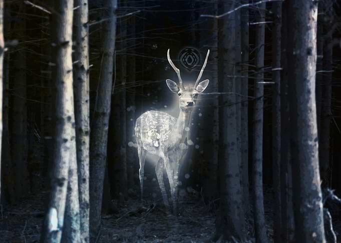 Apparition