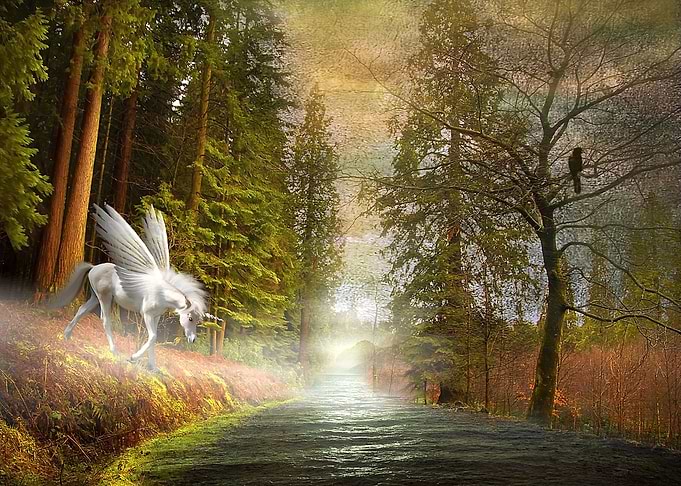 Unicorn