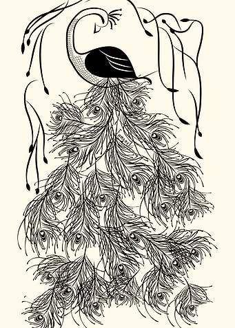 Jungle Peacock