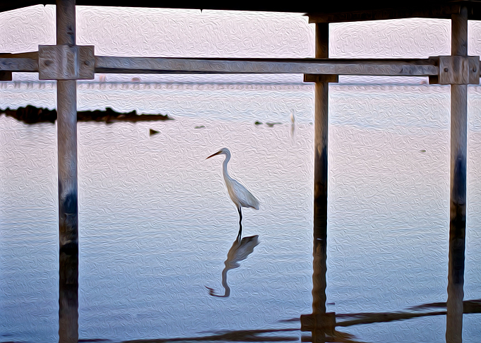 Mirror Image