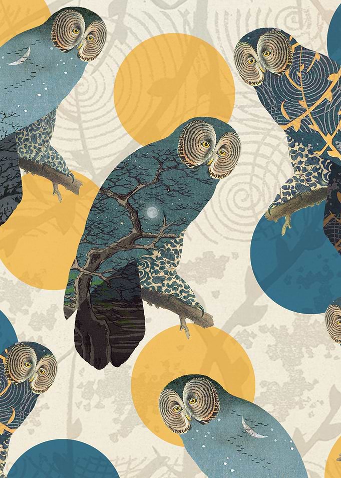Night Owl Polka