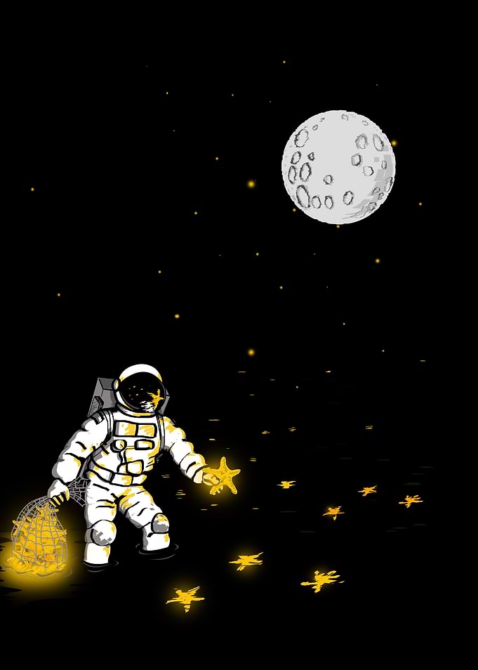 The Star Collector