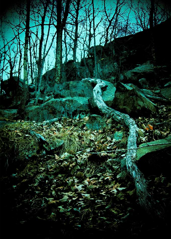 Snake