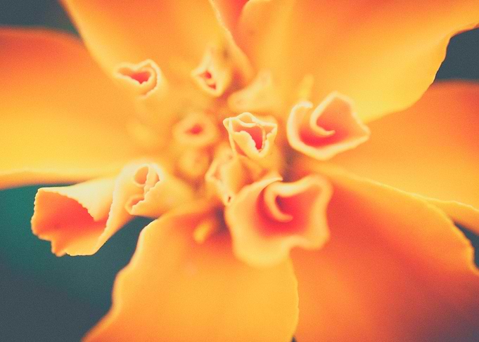 Spirals
