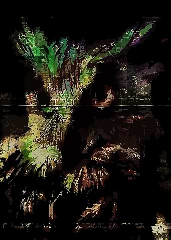 Night Vision