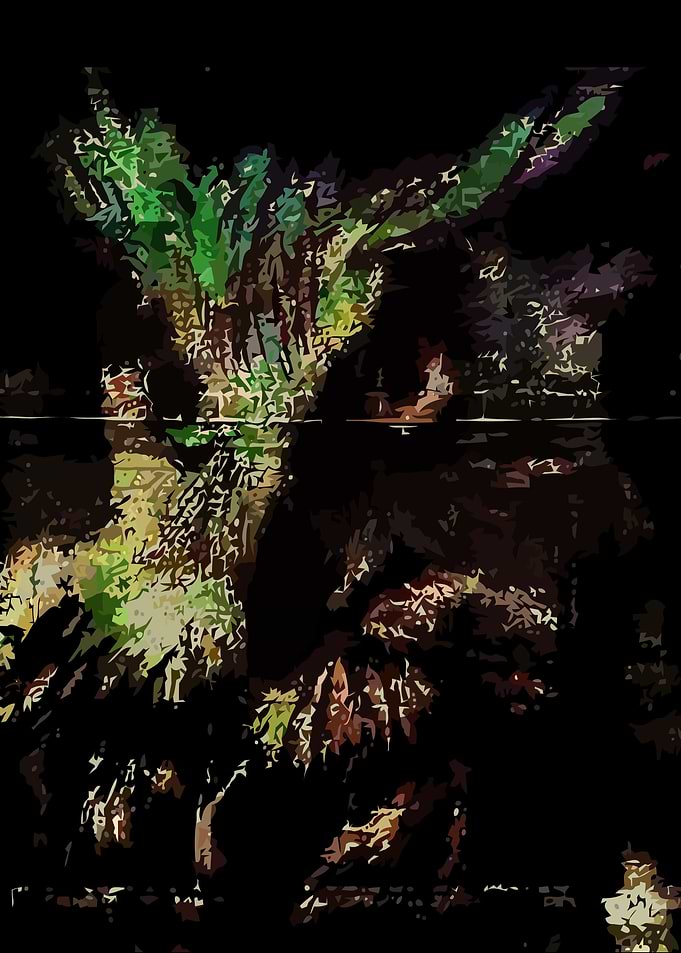Night Vision