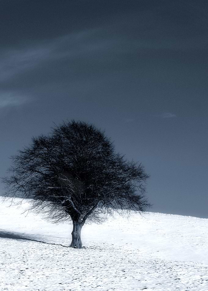 Left out in the Cold