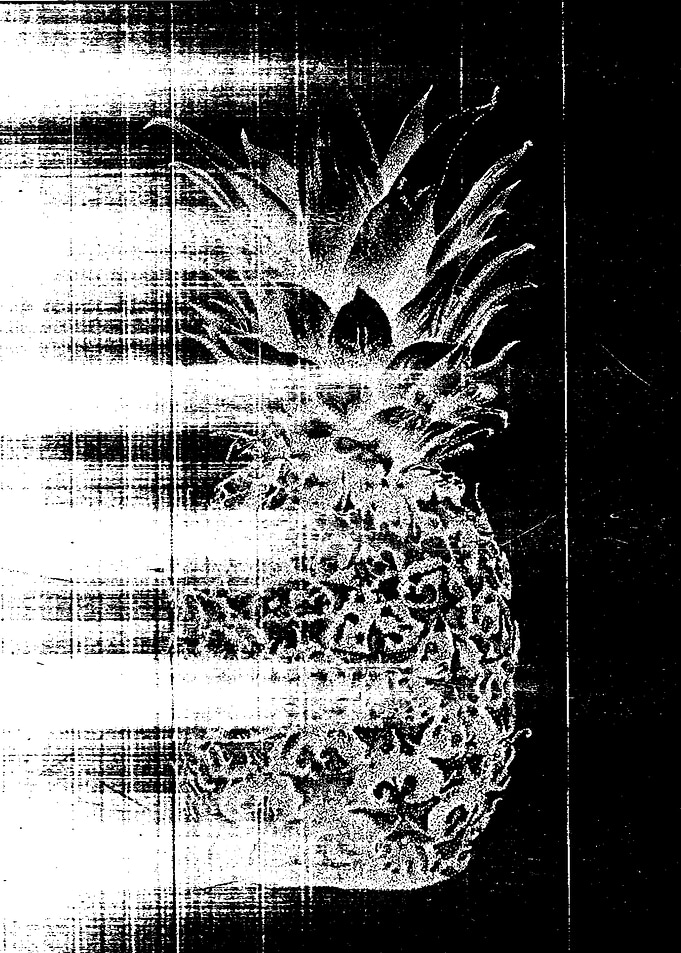 Anatomy of a Pineapple