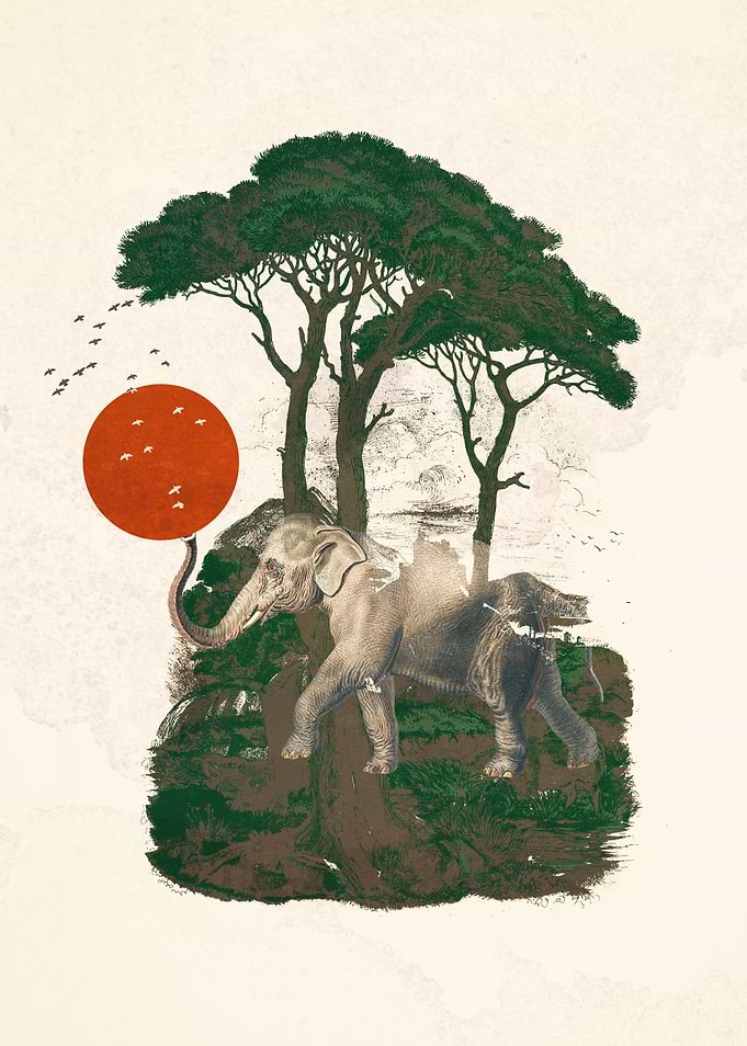 Savanna Sunrise