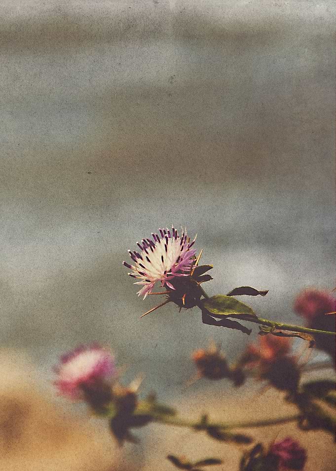 By the Sea