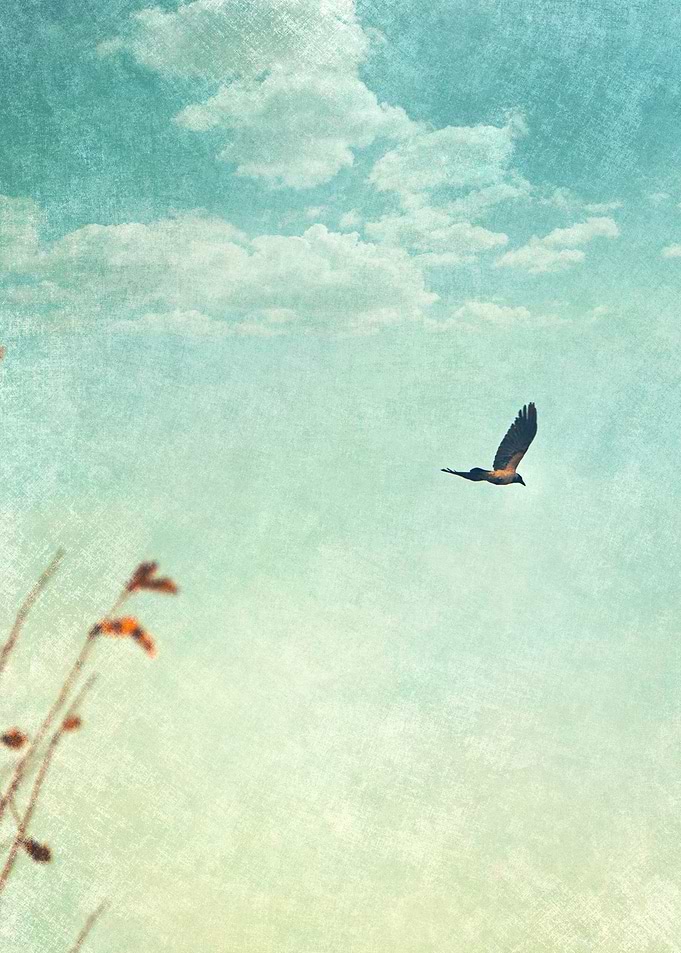 Free Yourself
