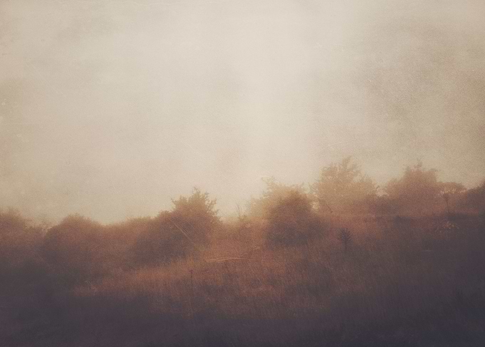 Solitude