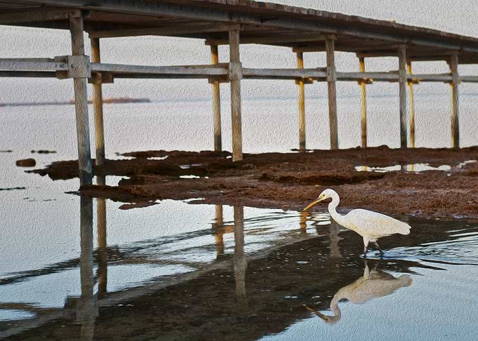 Lone Bird