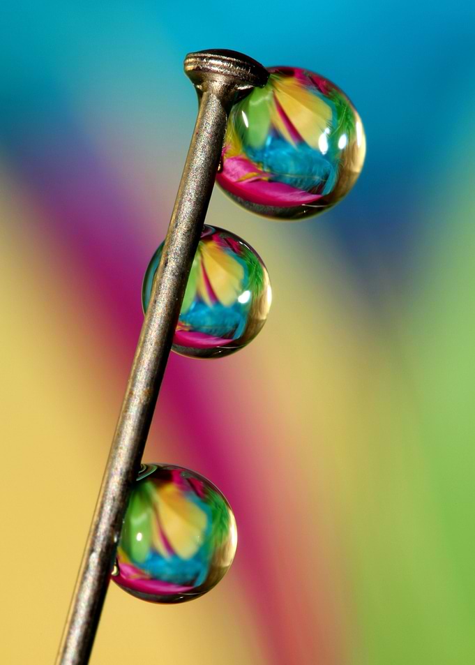 Pin Drop