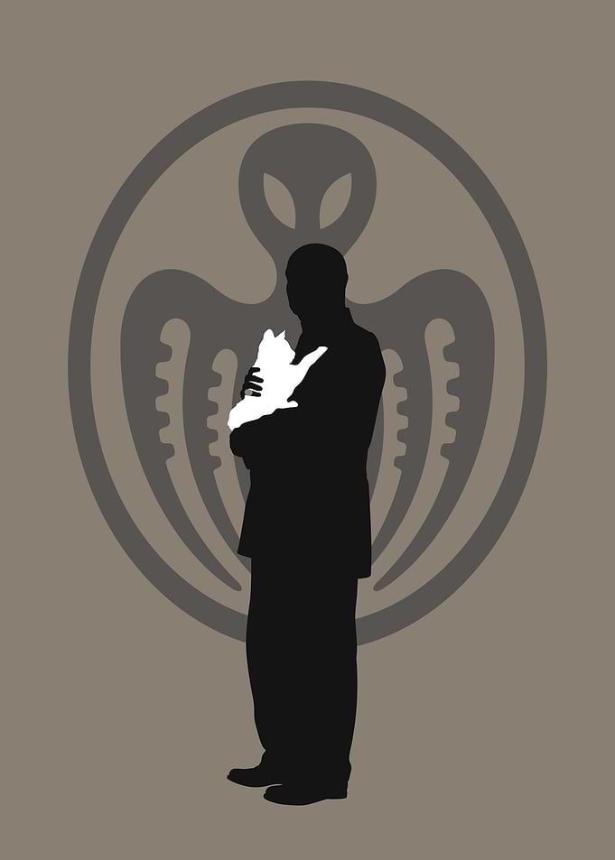 ERNST STAVRO BLOFELD