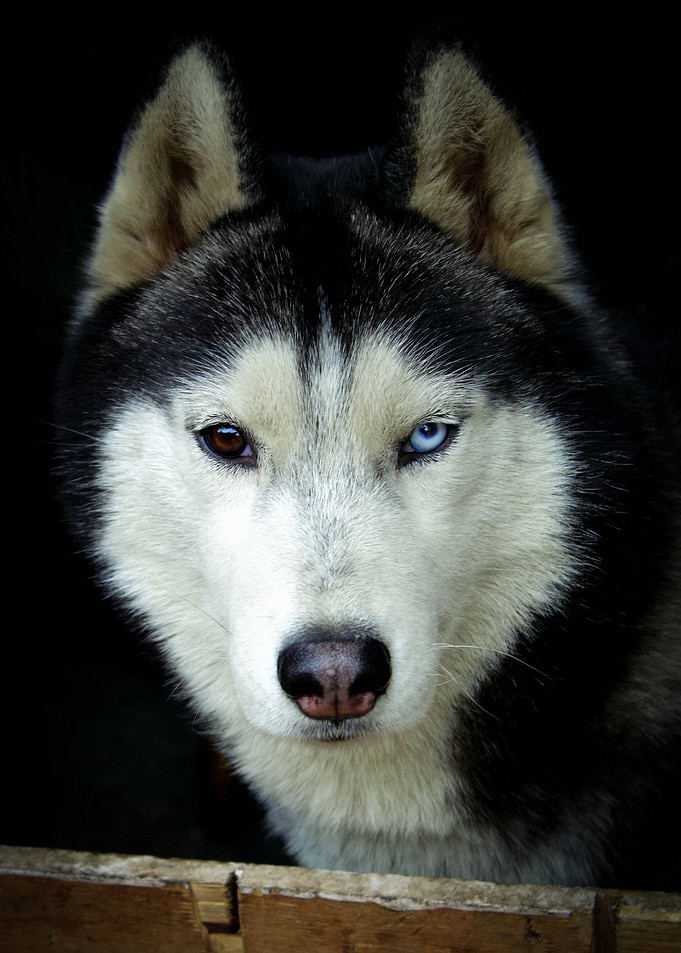 Different Eyes I