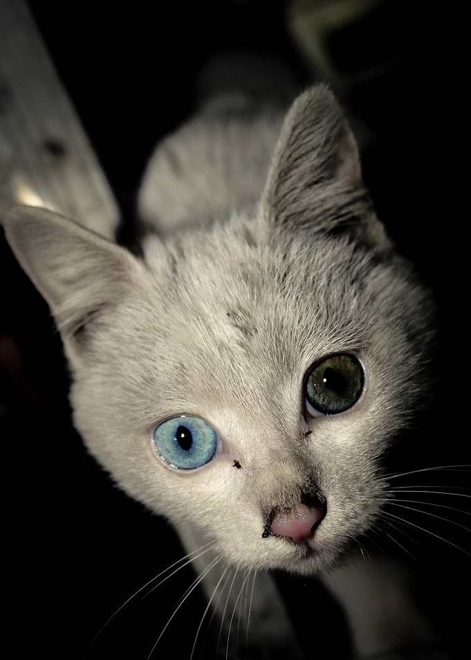 Different Eyes II