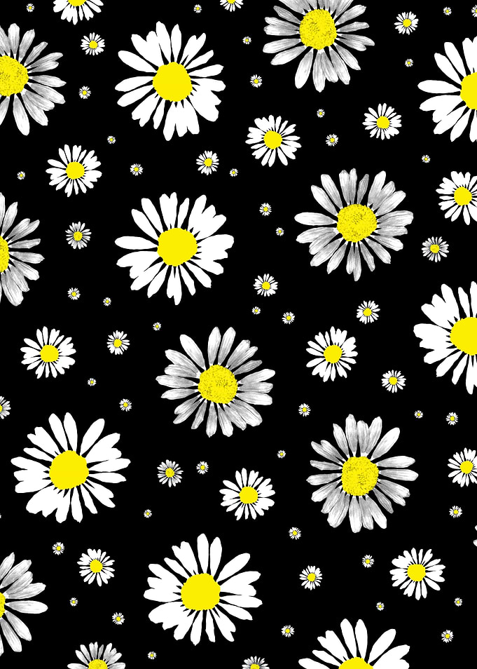 Daisies