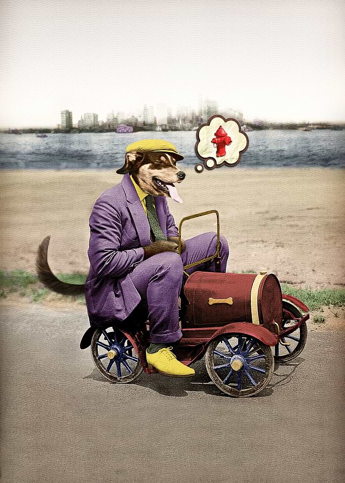 Barking Down the Highway