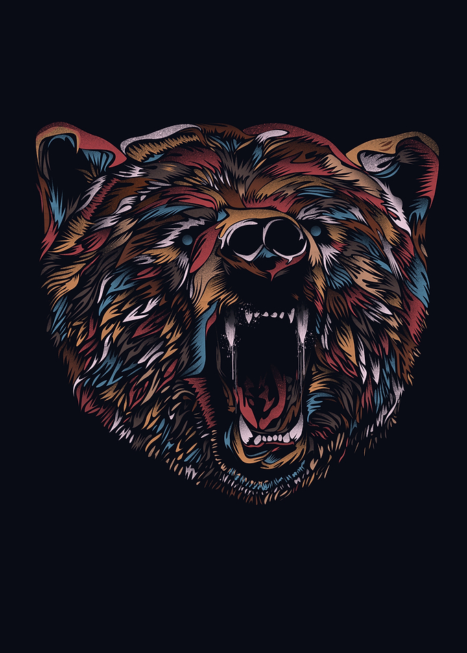 Wild Bear
