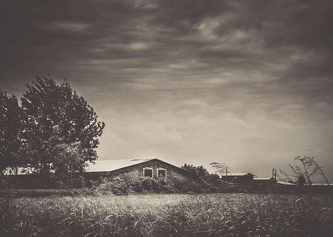 When the Wind Blows
