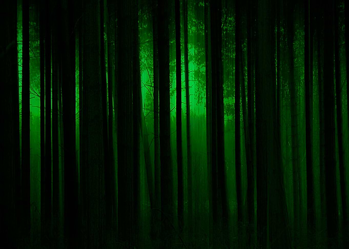 Trees Abstract