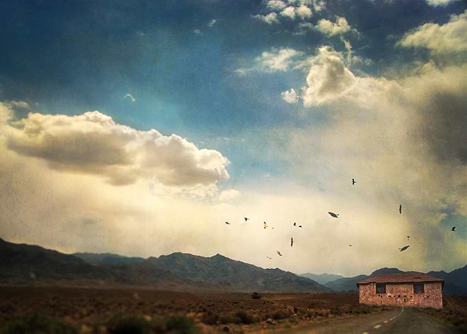 Going Home