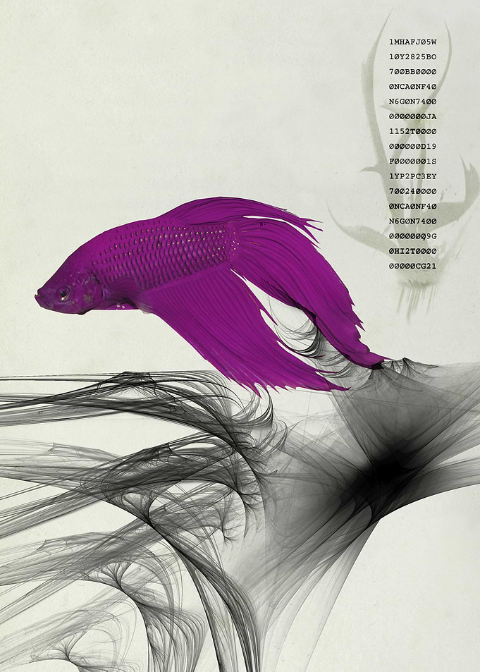 Fish never sleep