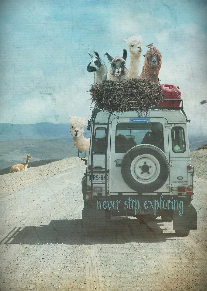 NEVER STOP EXPLORING - Summer Edition