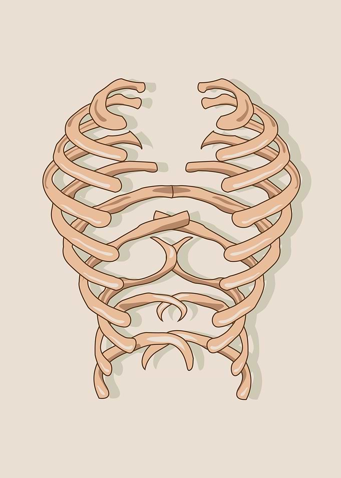 skull chest