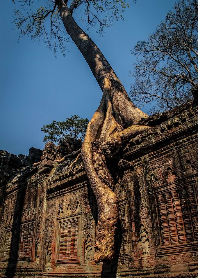 Preah Khan Temple II