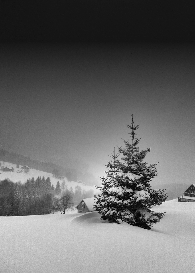 Snow View