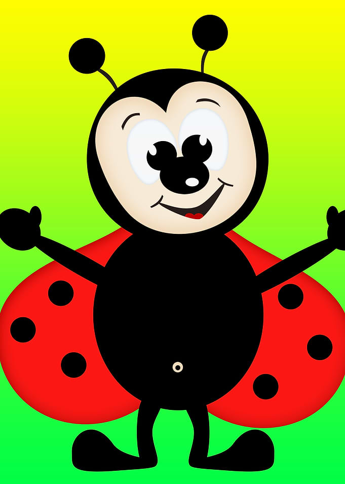 Funny Ladybug CB
