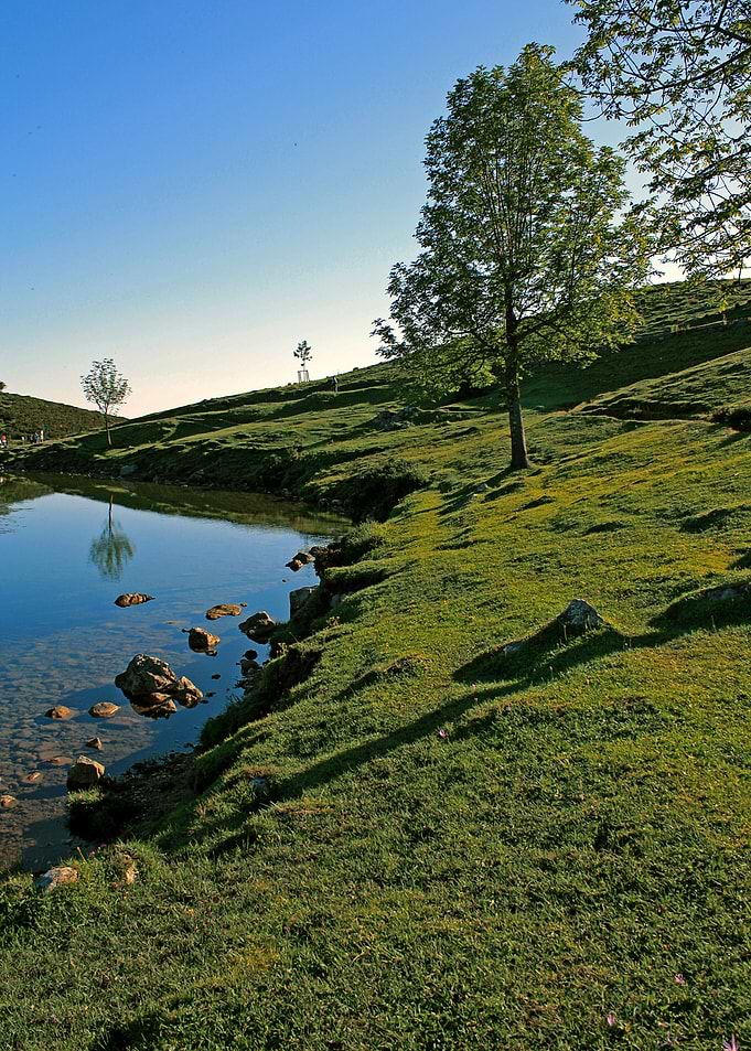 Natural mirror