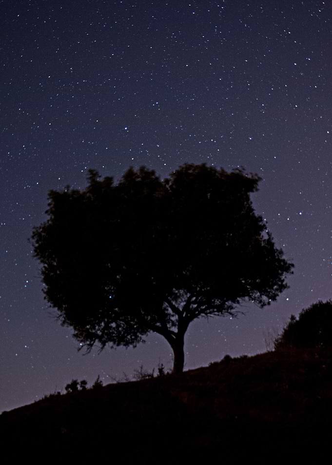 magic night