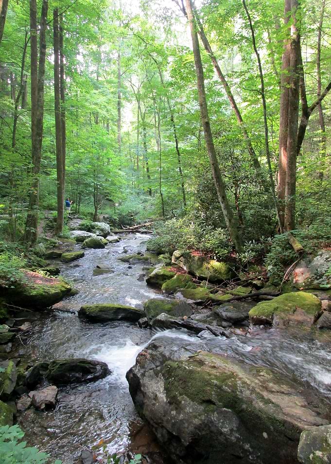 Anna Ruby Falls