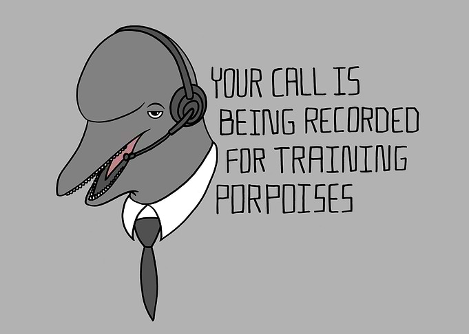 For Training Porpoises