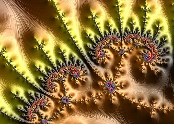 Abstract Nature Flower CB