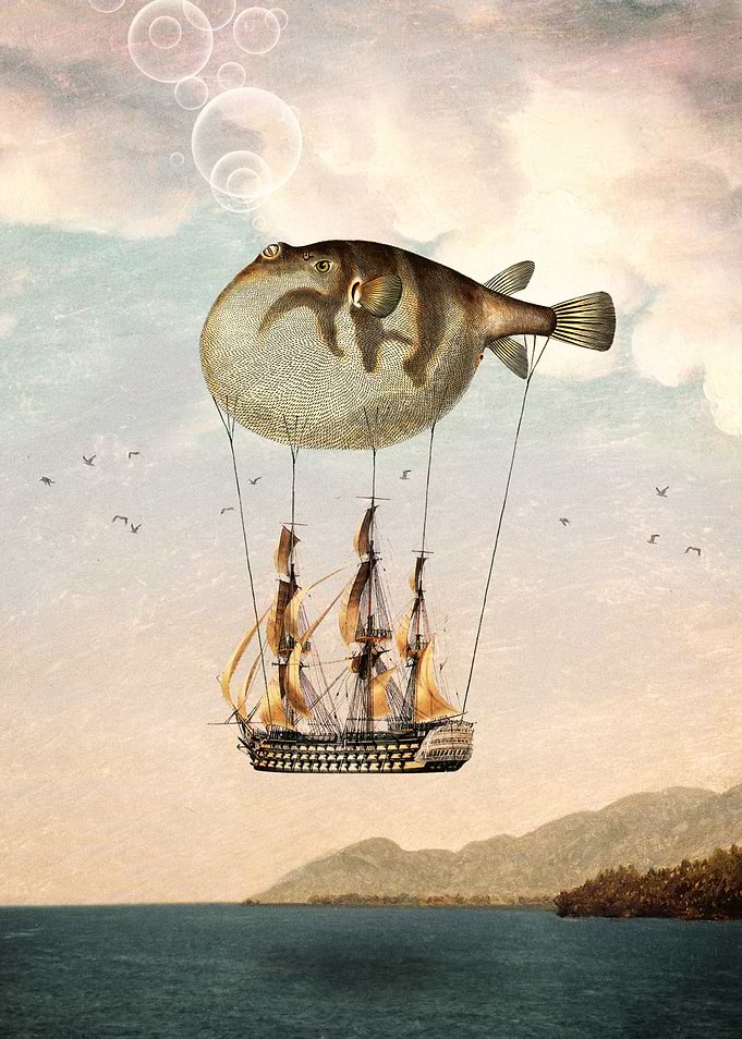 The Big Journey