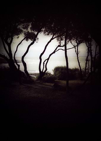 Chemin des fees
