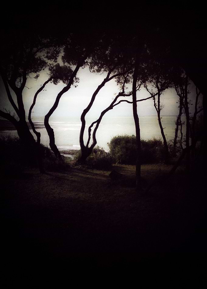 Chemin des fees