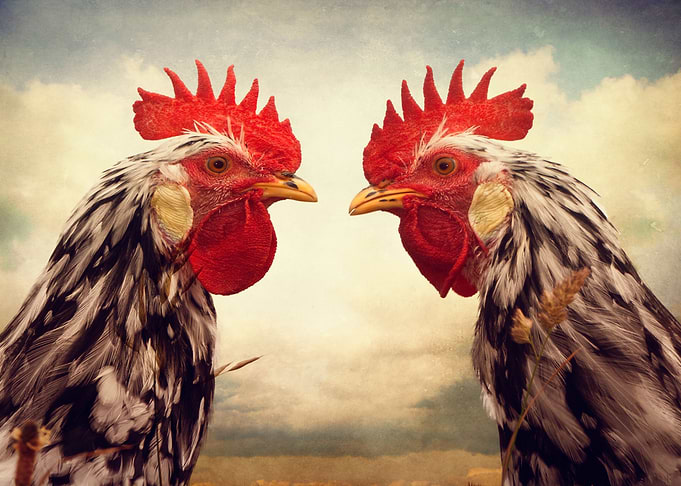 Redheads