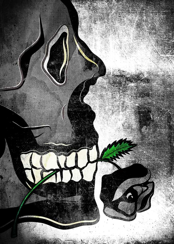 Skull with Black Rose