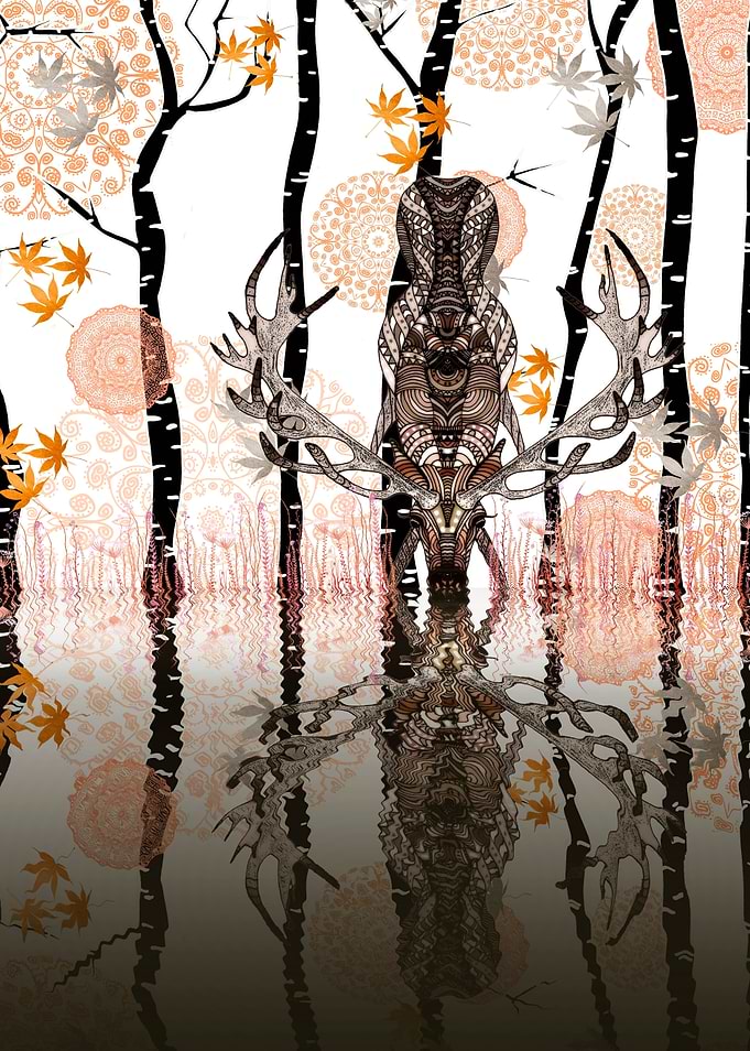 AUTUMN FOREST