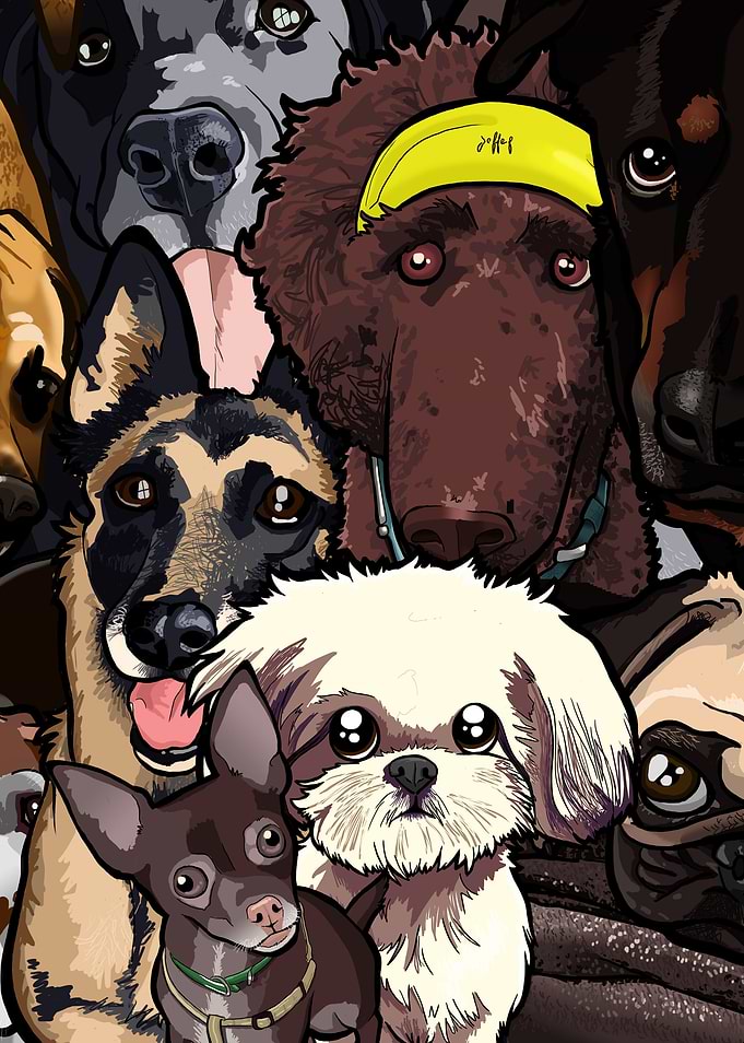 Dogs