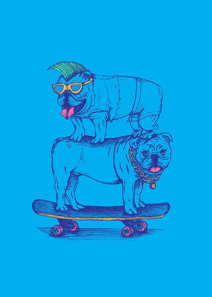 Double Dog Dare